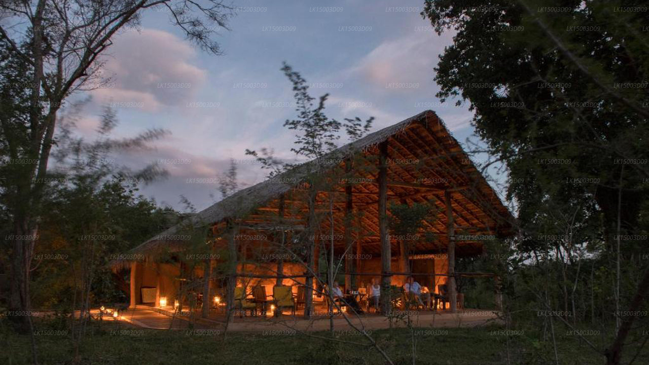 Tree Tops Jungle Lodge, Yala