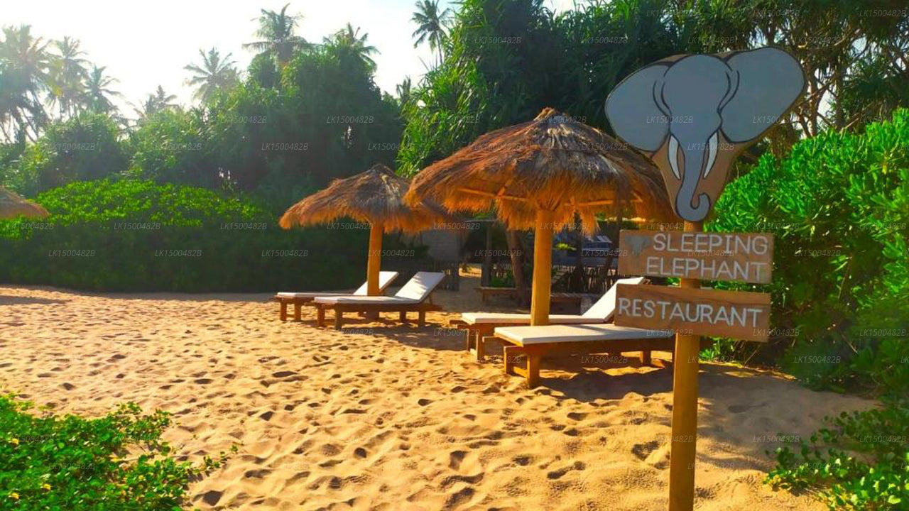 Sleeping Elephant Beach Resort, Ranna