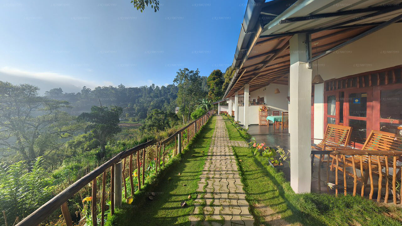 Rainbow Sky Cottage, Ella