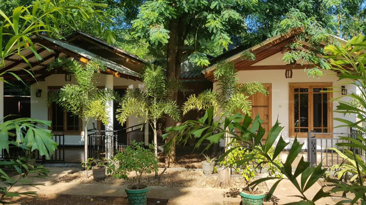 Max Safari Villa, Udawalawe