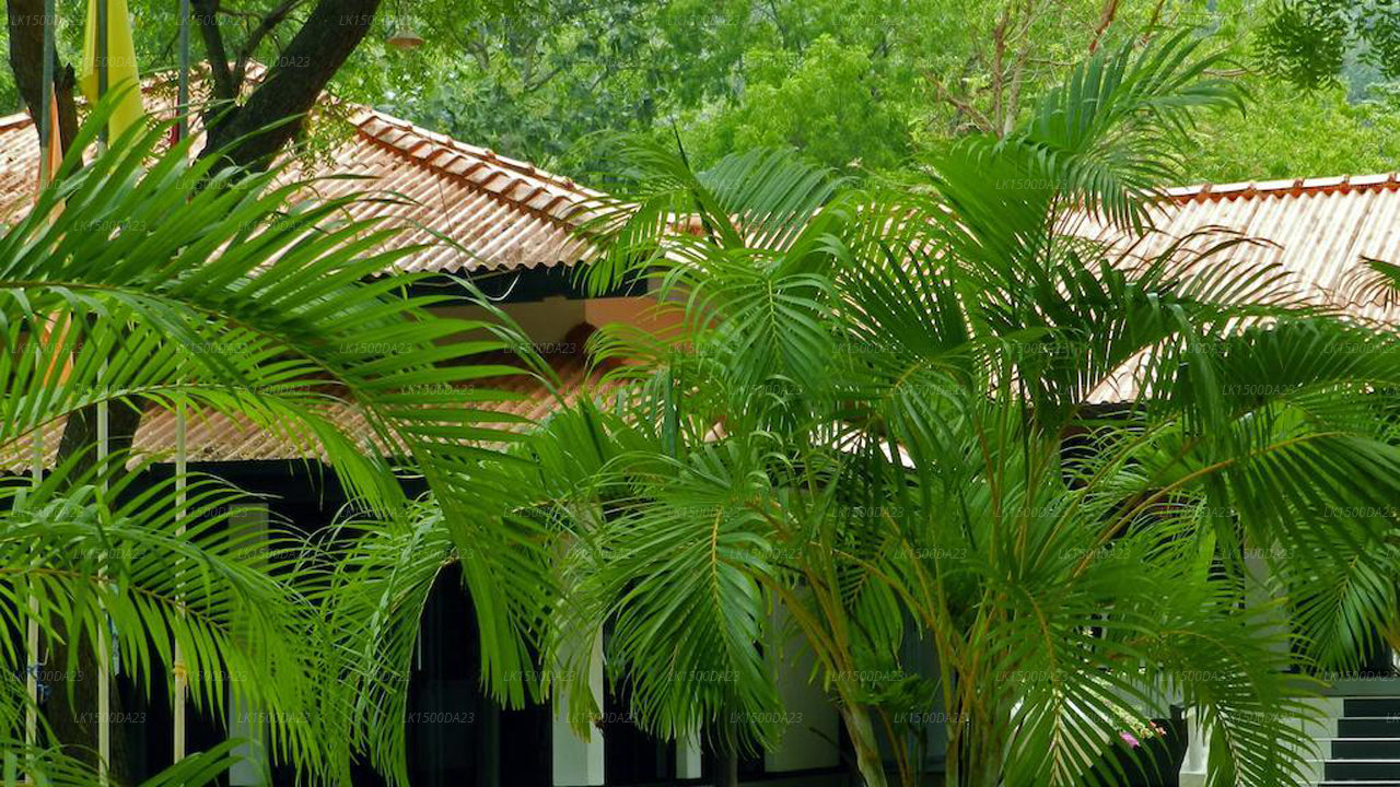 Jayasinghe Holiday Resort, Kataragama