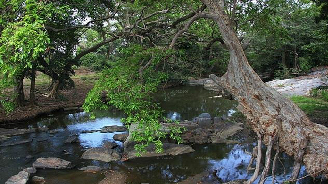 Galapita Sanctuary, Buttala