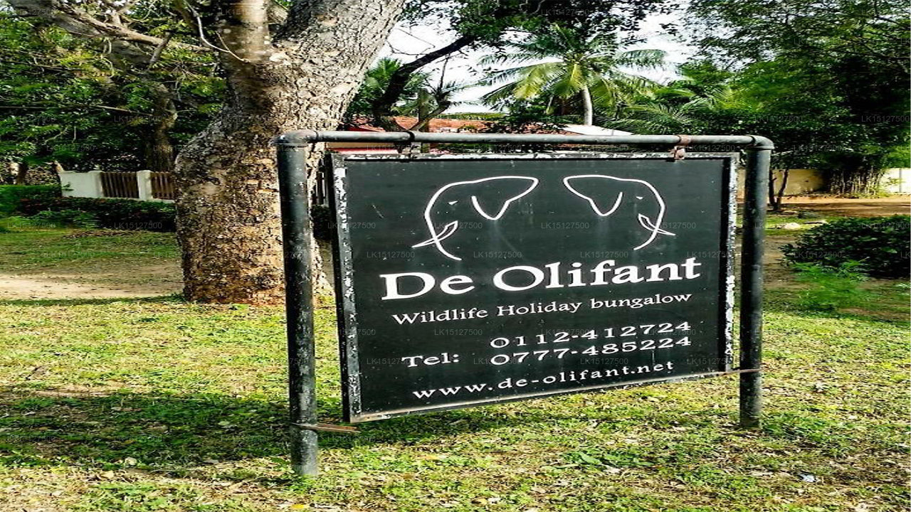 De Olifant Holiday Bungalow