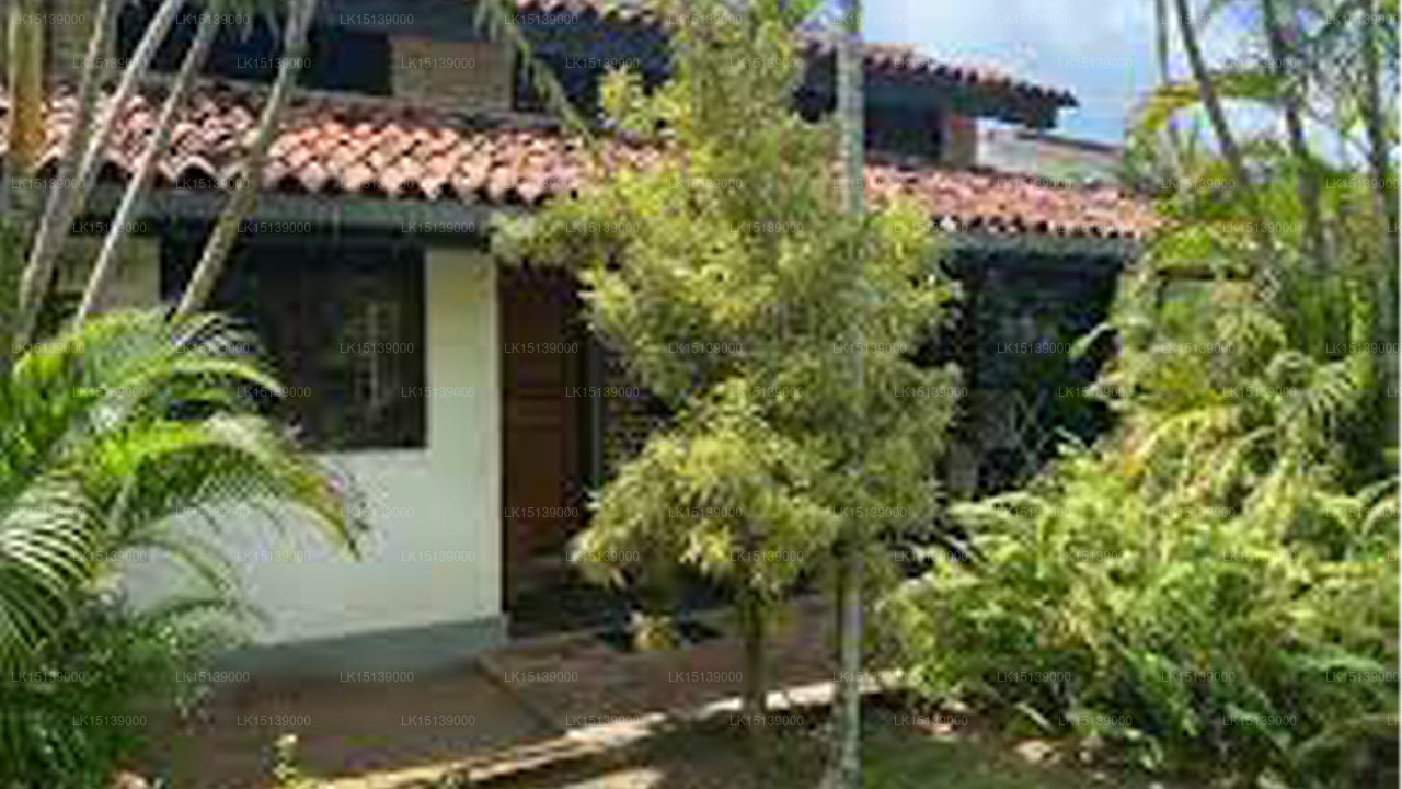 Cottage Garden, Mount Lavinia