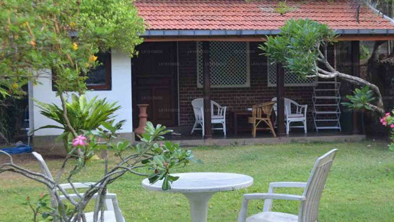 Cottage Garden, Mount Lavinia