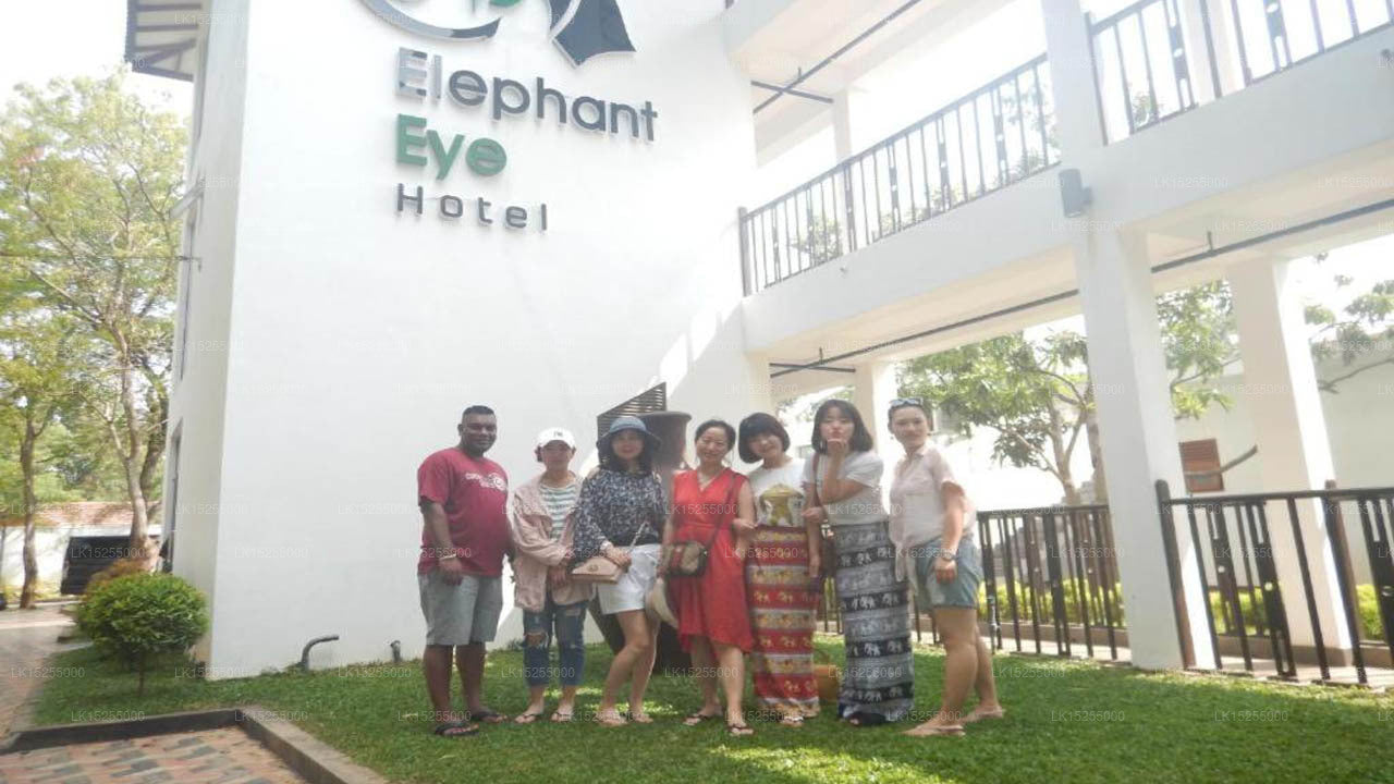 Elephant Eye Hotel, Tissamaharama