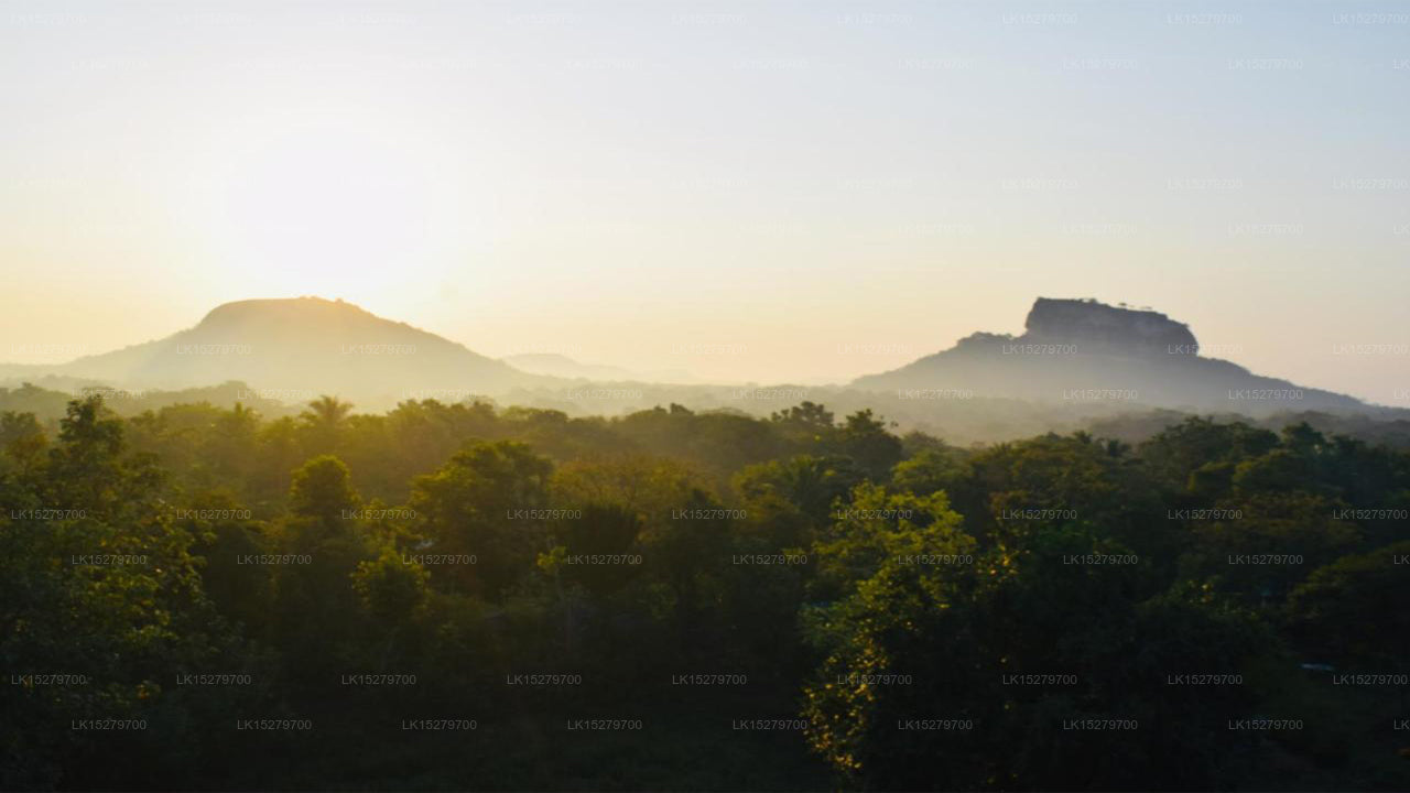 Green Hut Hotel And Restaurant, Sigiriya