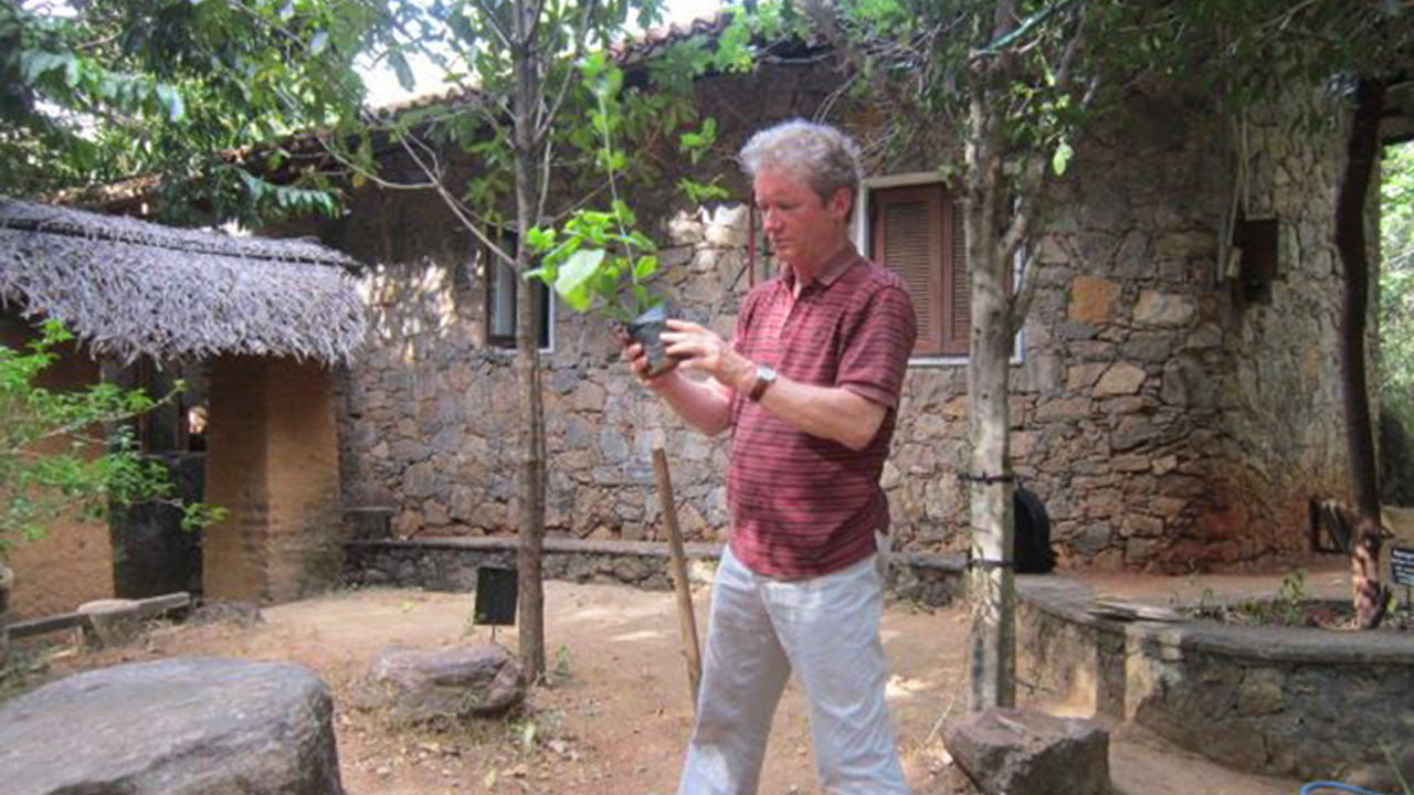 Popham's Arboretum, Dambulla