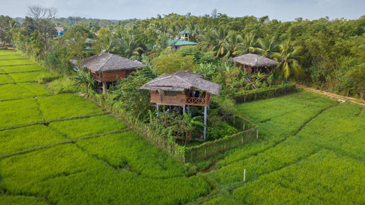 The Hideout, Sigiriya