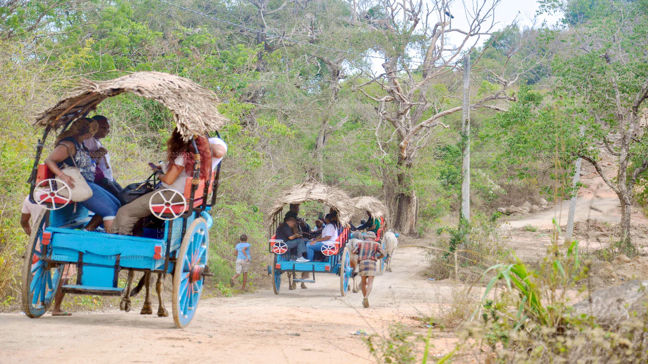 Sigiriya Village Tour and Lunch from Sigiriya