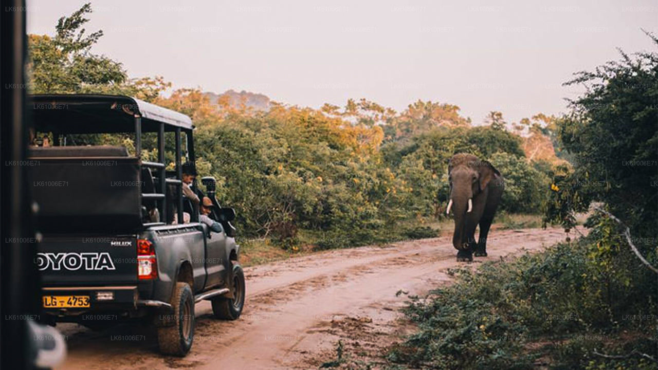 Hambantota City Tour from Hambantota Seaport