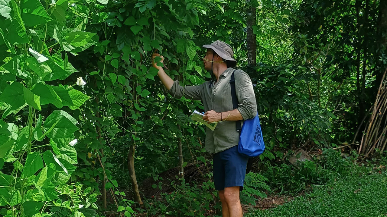 Discover Biodiversity at Midigama Fruit Farm