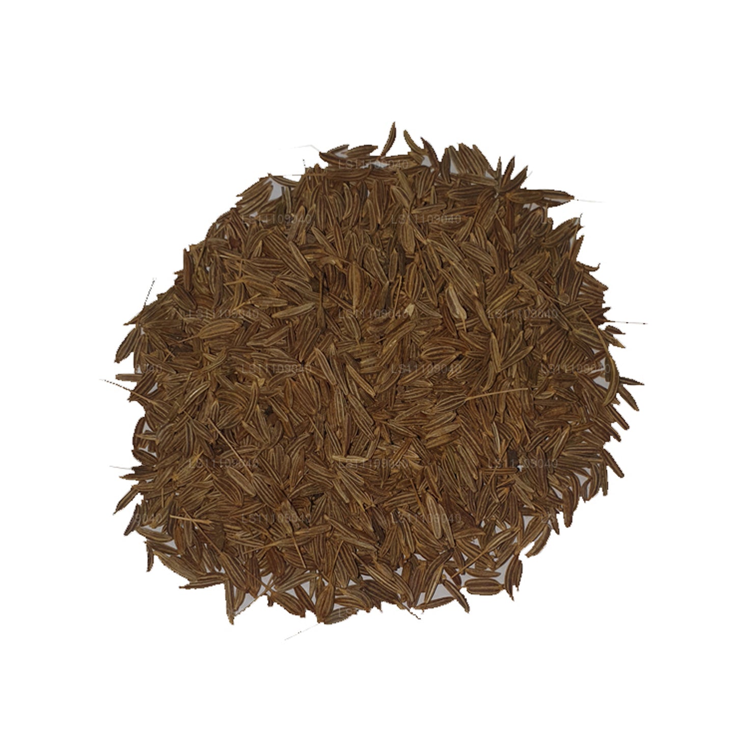 Lakpura Fennel Seeds Whole