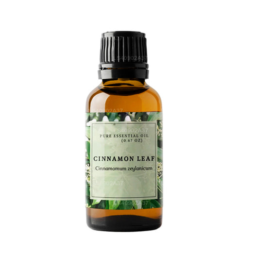 Lakpura Cinnamon Leaf Essential Oil (15ml)