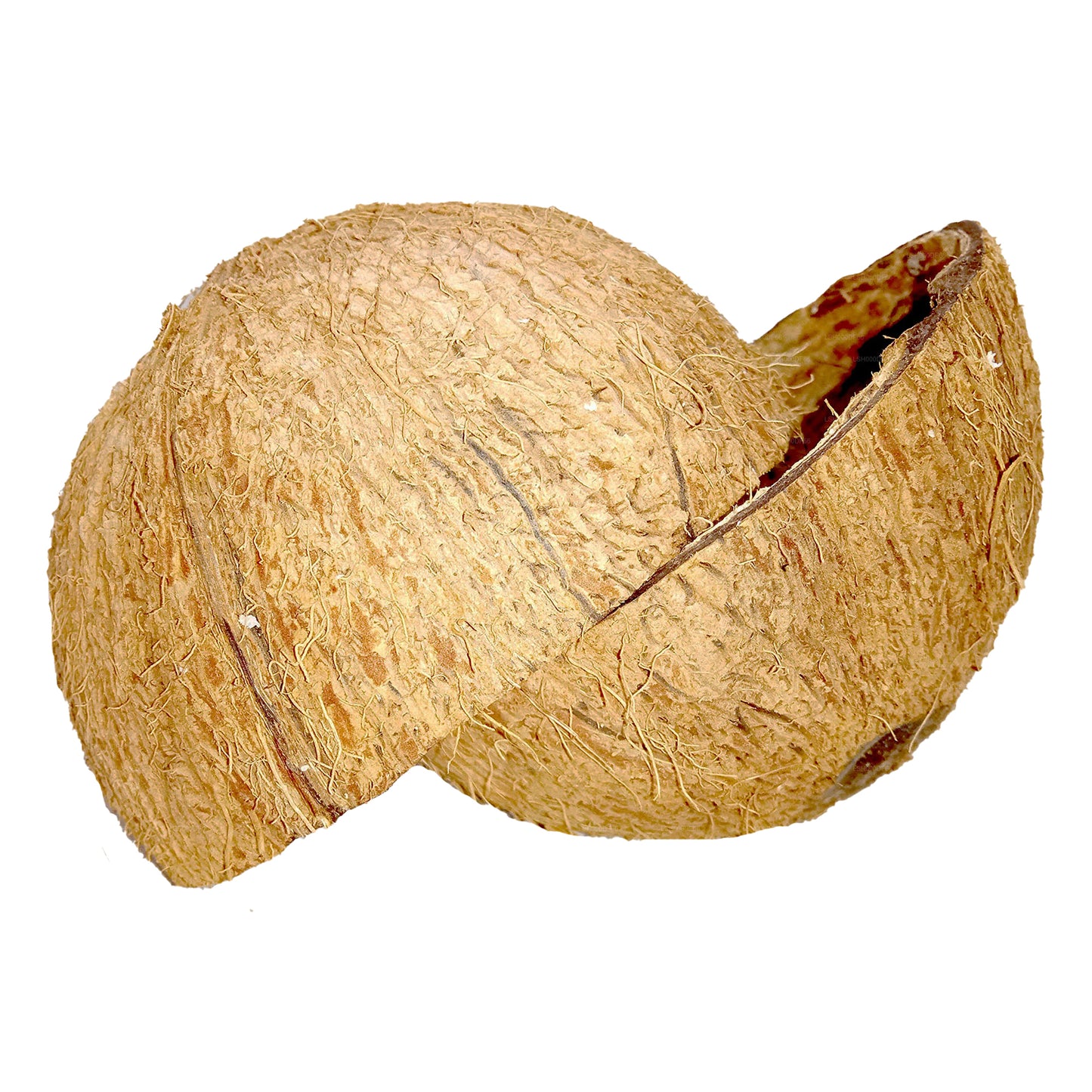 Lakpura Coconut Shell Halves