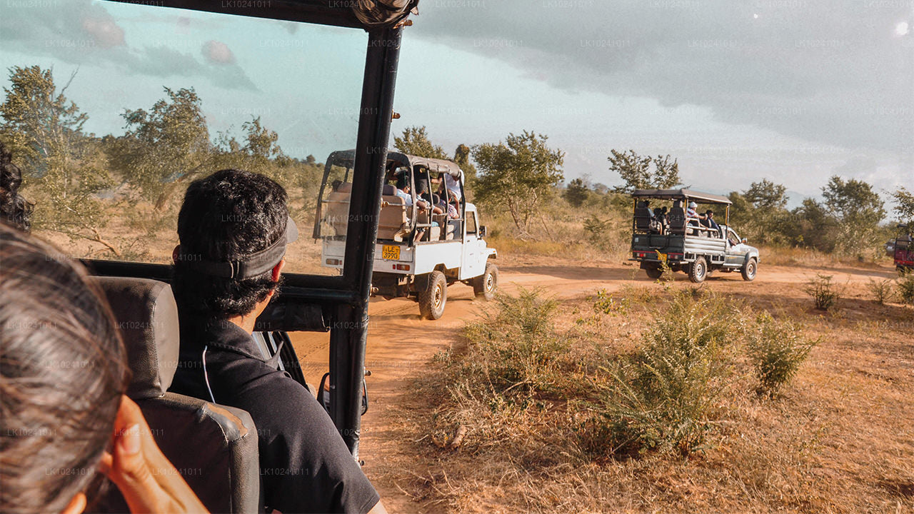 Udawalawe from Hikkaduwa (2 Days)