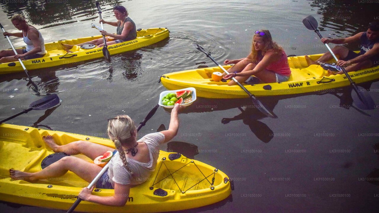 Kayaking from Bentota