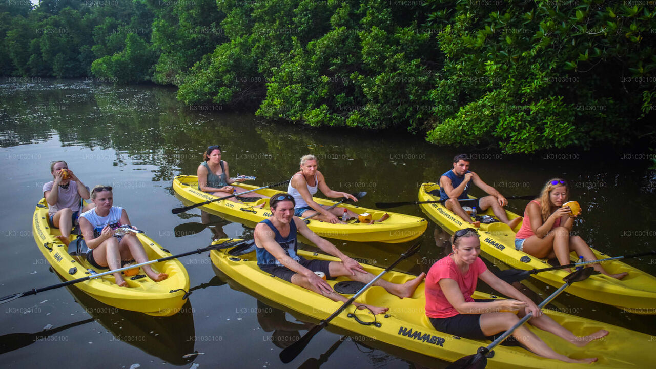 Kayaking from Bentota