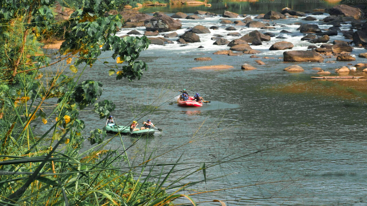 Flat Water Kayaking from Kitulgala