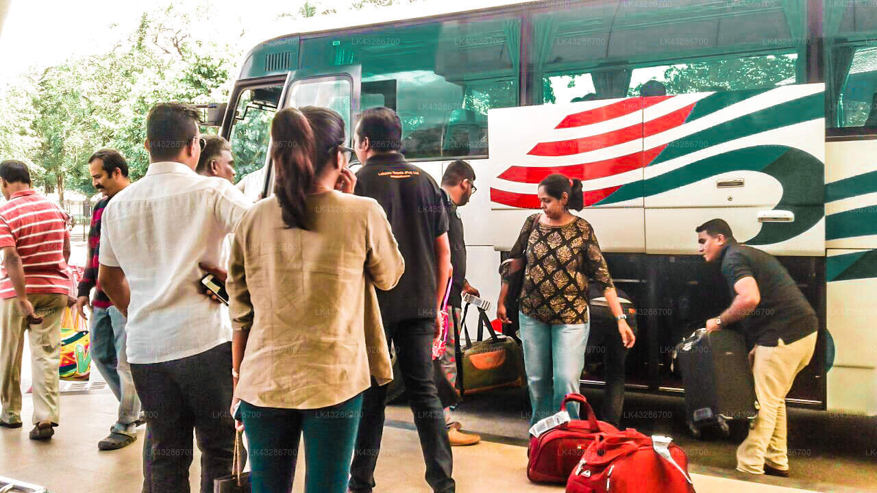 Transfer between Colombo Airport (CMB) and The Adventurers Bungalow by The Other Corner, Habarana