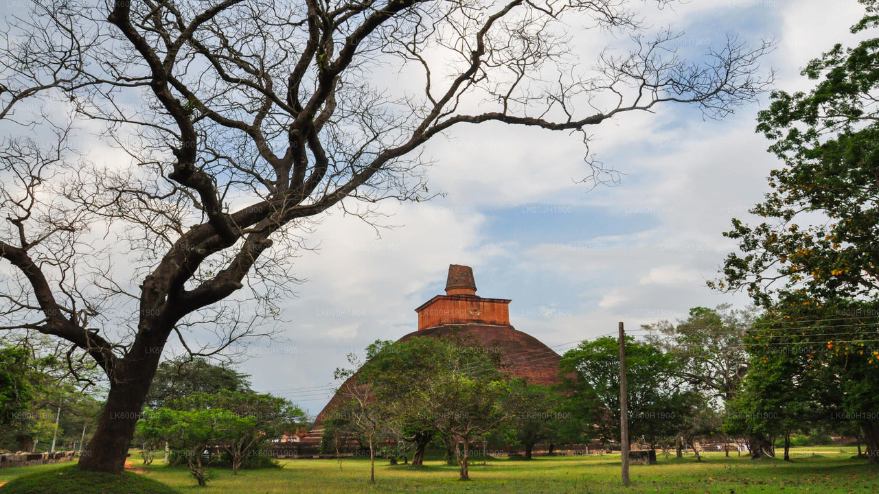Sacred City of Anuradhapura from Colombo