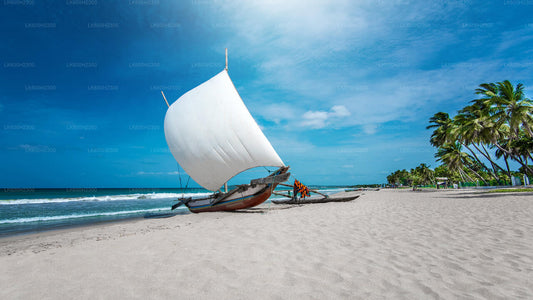 Negombo City Tour from Colombo