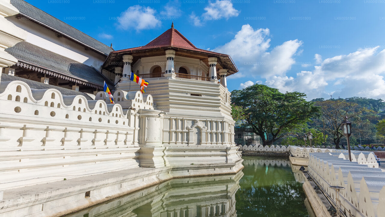 Kandy City Tour from Habarana