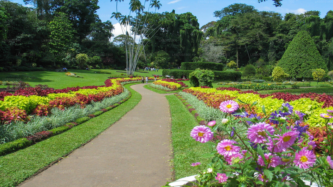 Kandy City Tour from Habarana