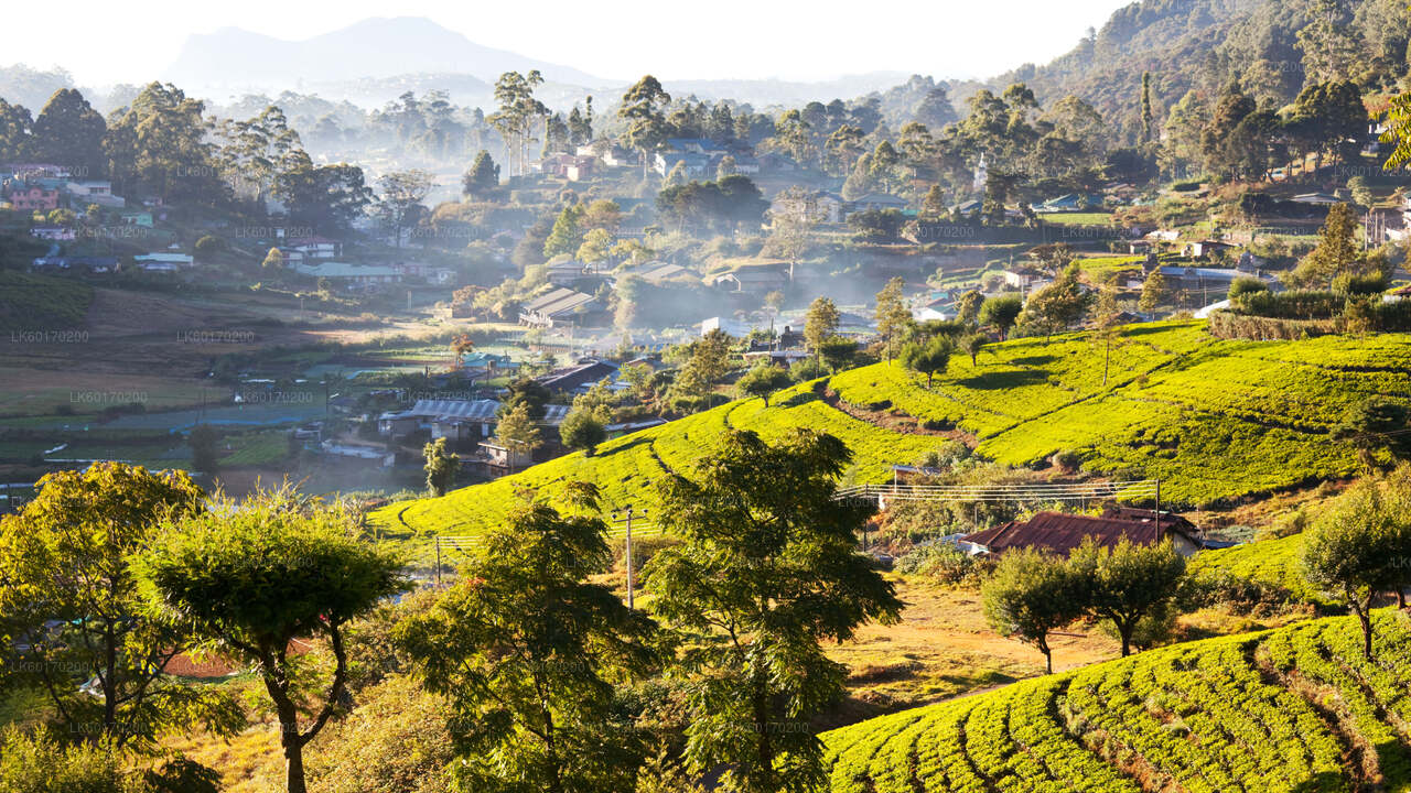 Nuwara Eliya Highlands from Kandy