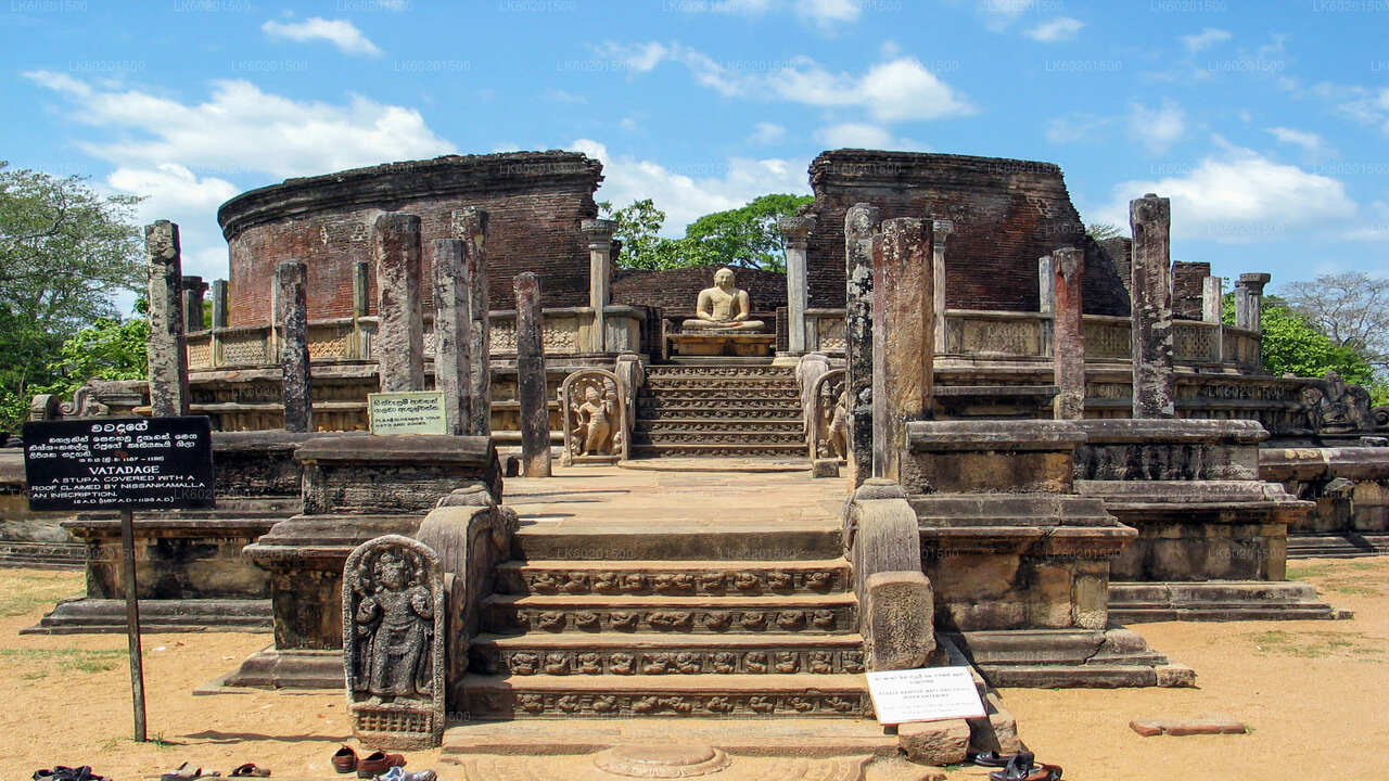 Polonnaruwa Ancient Kingdom and Wild Elephant Safari from Sigiriya