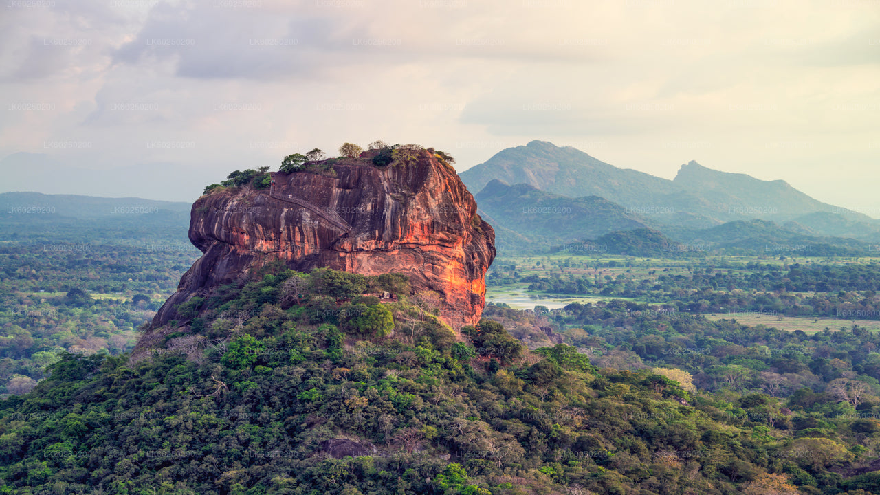 Sigiriya Rock and Wild Elephant Safari from Pasikuda