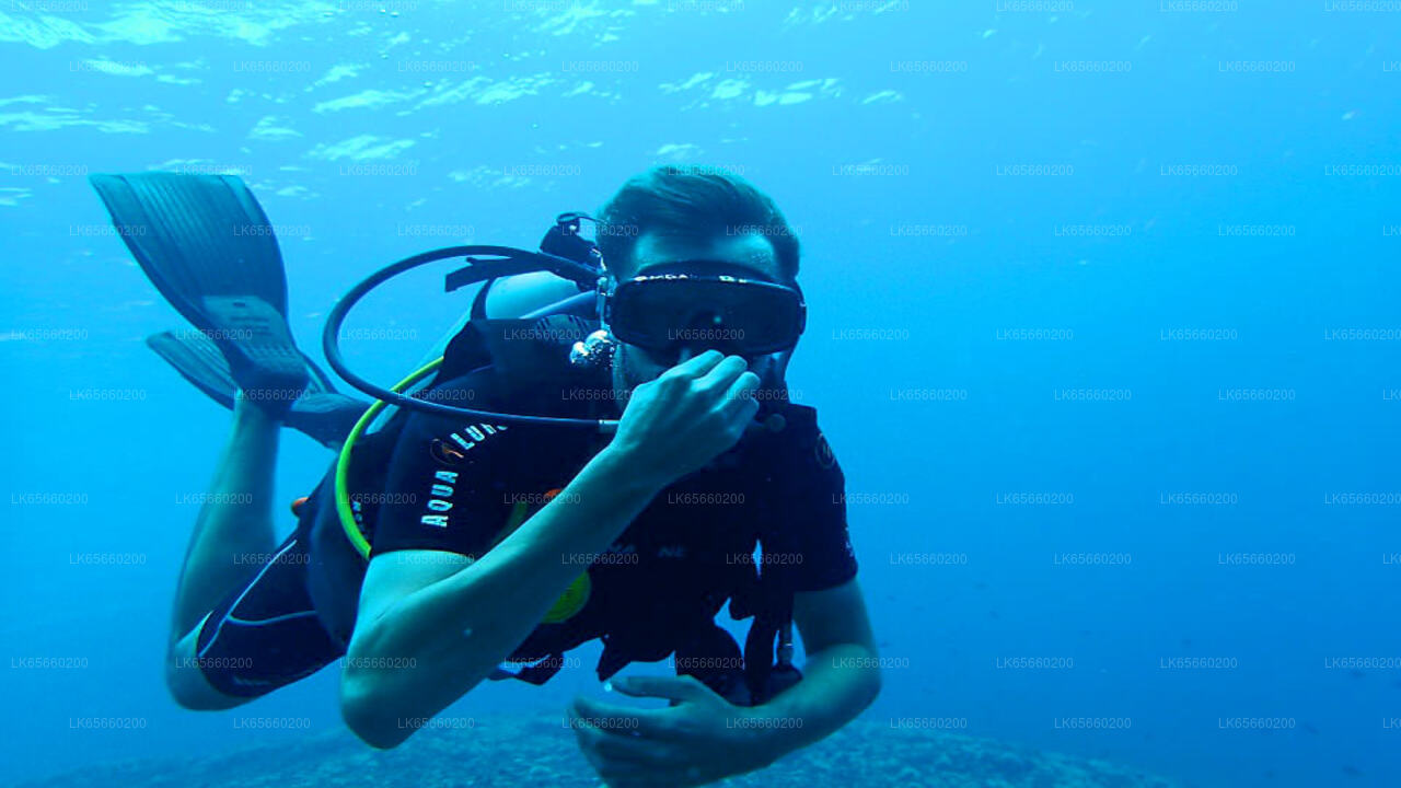 Diving in Mount Lavinia