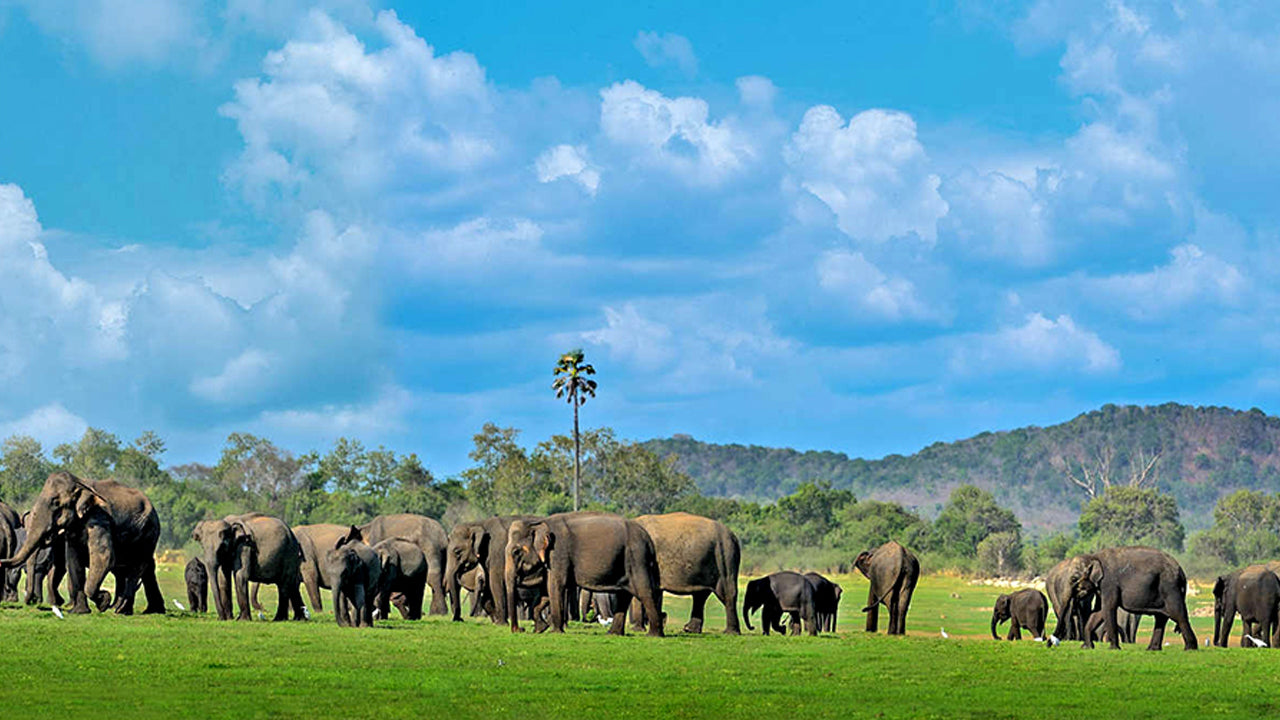 Kala Wawe National Park Entrance Tickets