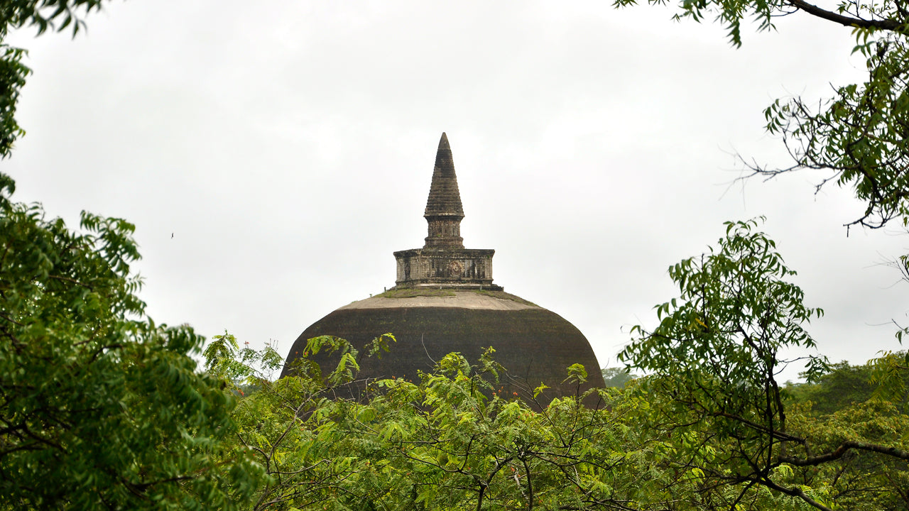 Polonnaruwa Ancient City Entrance Tickets