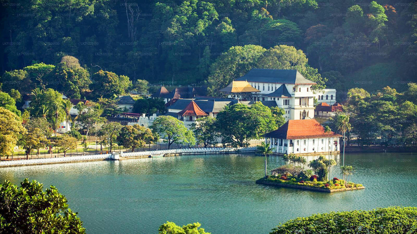 Temple of The Sacred Tooth Relic Entrance Ticket