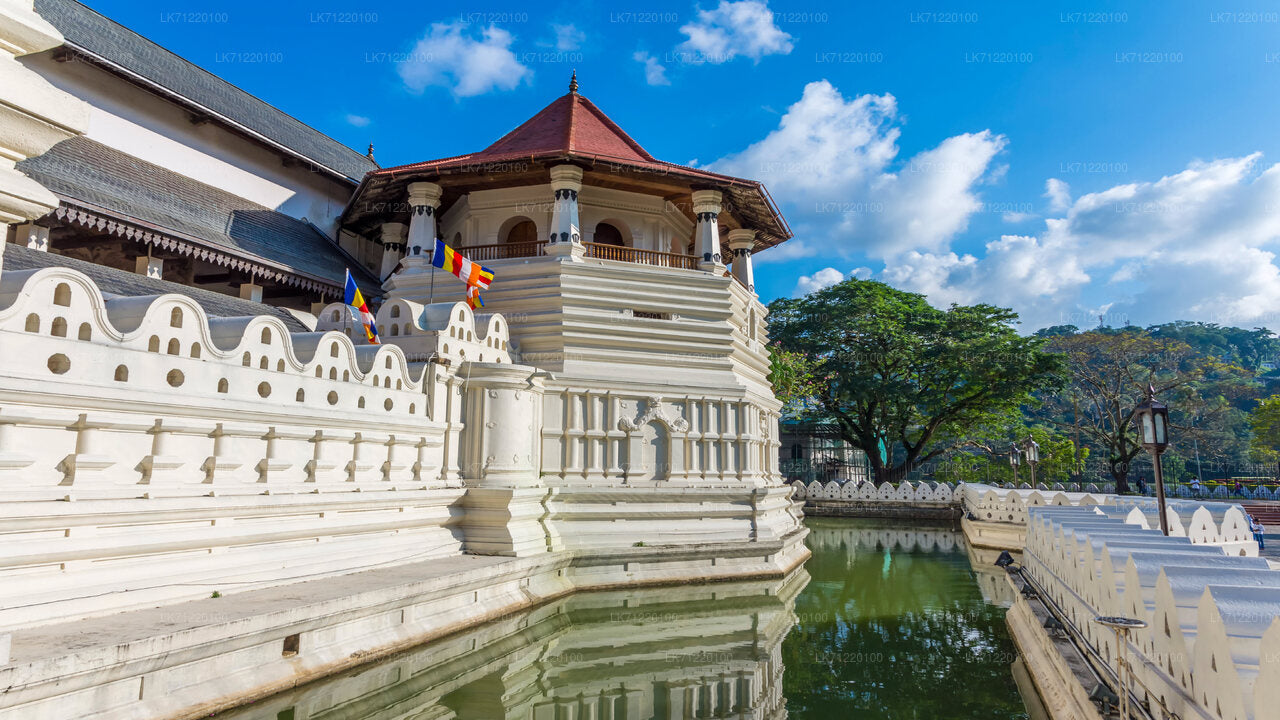 Temple of The Sacred Tooth Relic Entrance Ticket