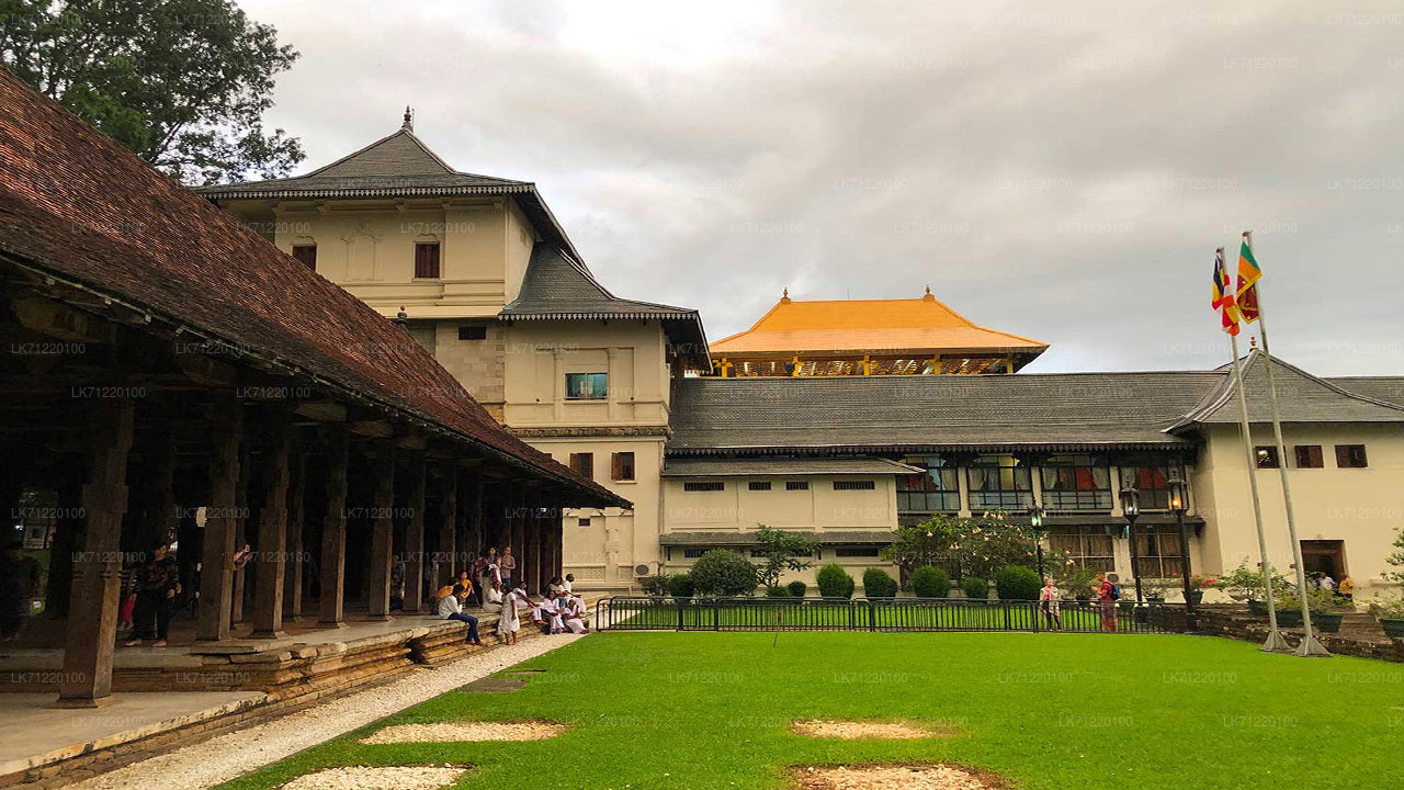 Temple of The Sacred Tooth Relic Entrance Ticket