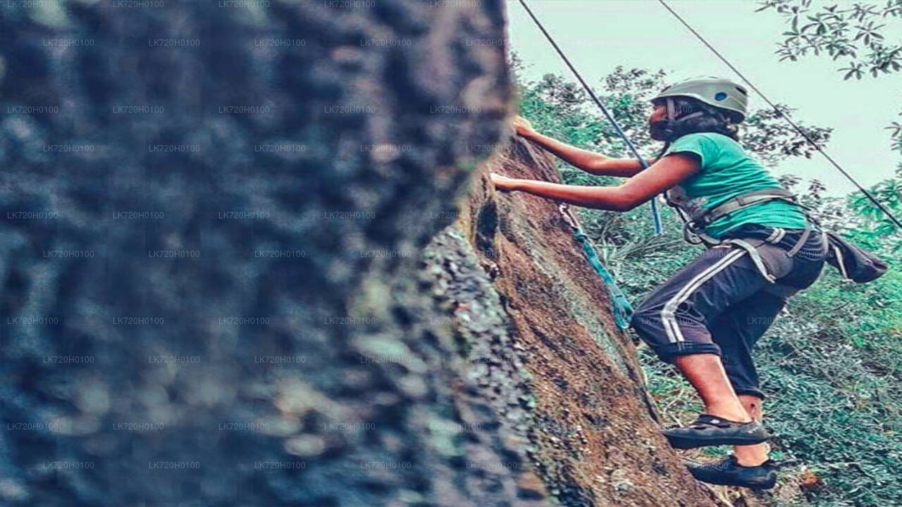 Forest Rock Climbing from Colombo