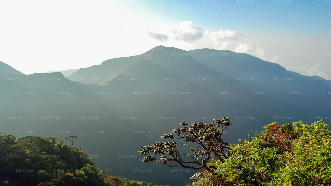 Camping at Horton Plains National Park from Colombo