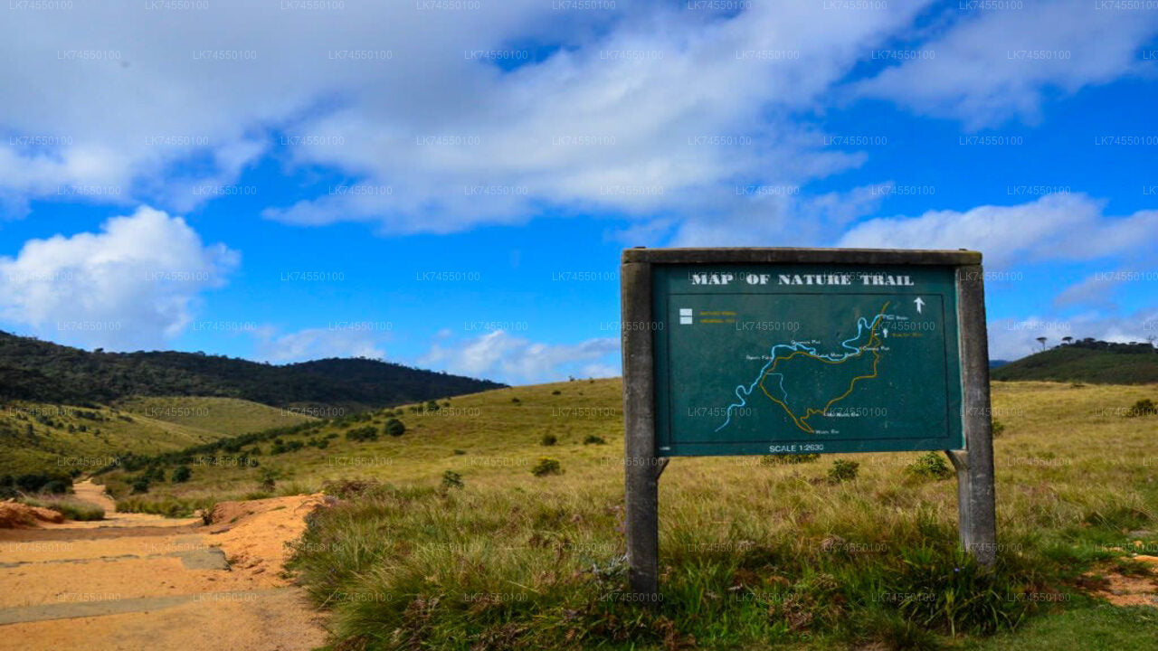 Hike to Horton Plains Border via Rail Tracks from Pattipola