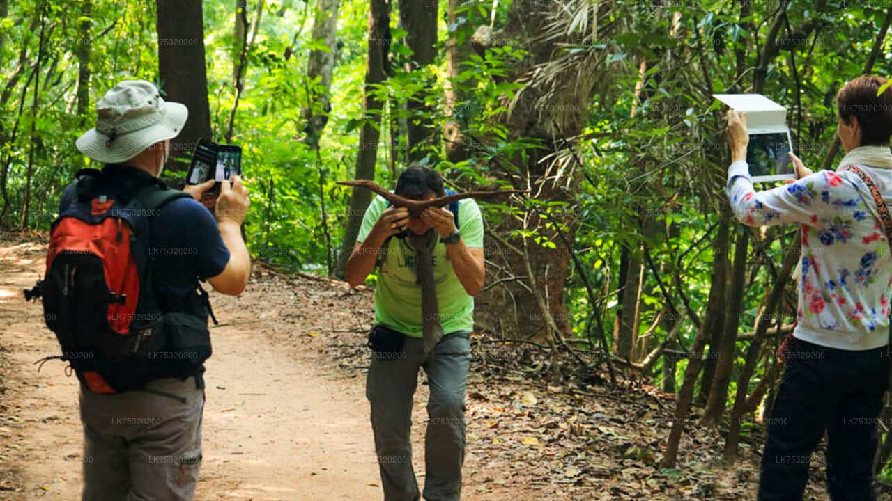 Birdwatching at Ritigala from Habarana