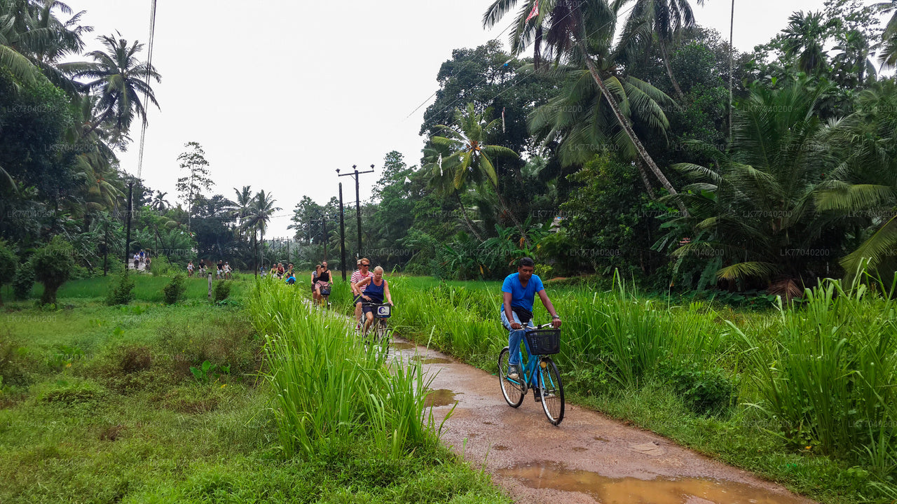 Lagoon Village by Bicycle from Galle