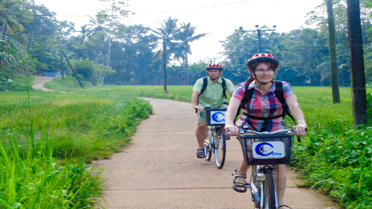 Lagoon Village by Bicycle from Galle