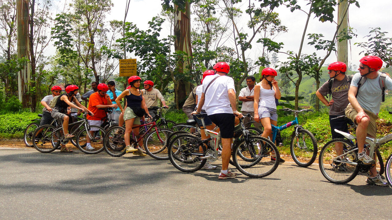 Cycling from Kitulgala