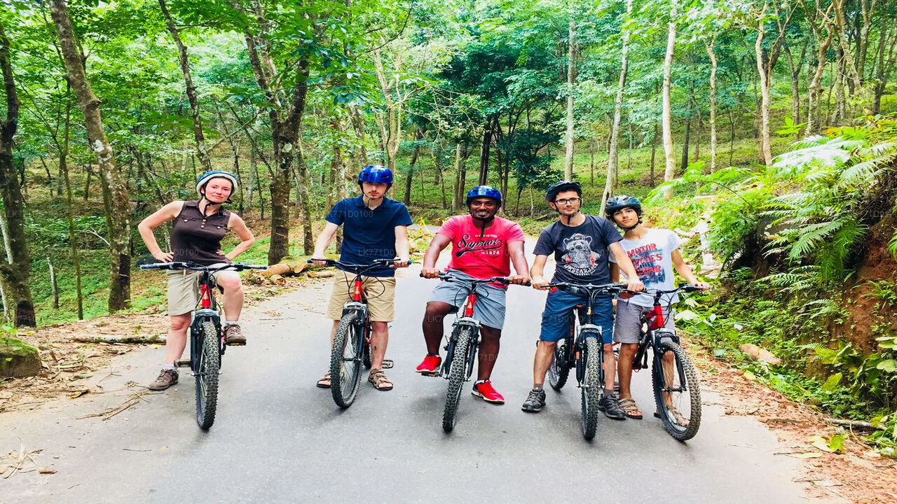 Cycling from Kitulgala