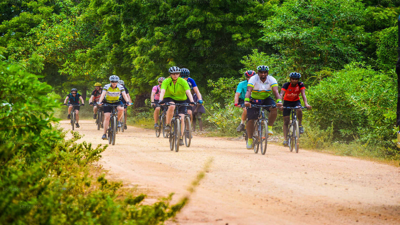 Mulkirigala Cycling Tour from Tangalle