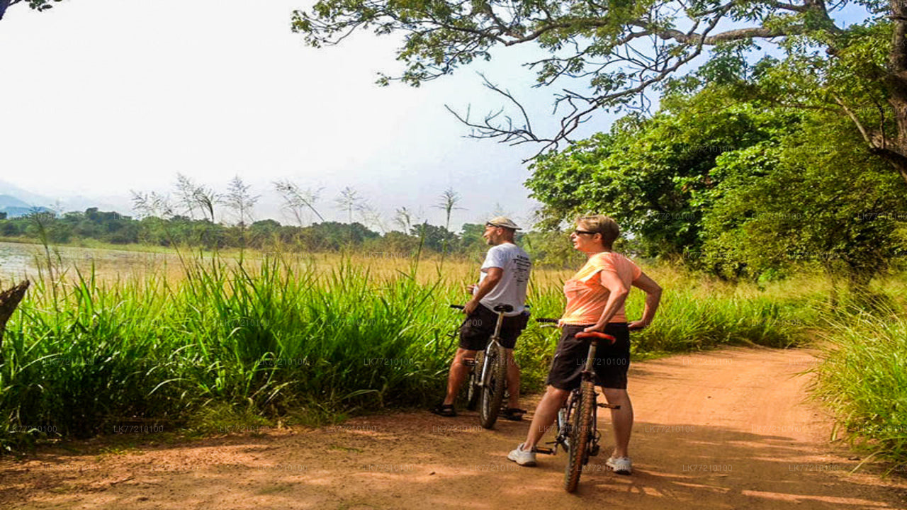 Mulkirigala Cycling Tour from Tangalle