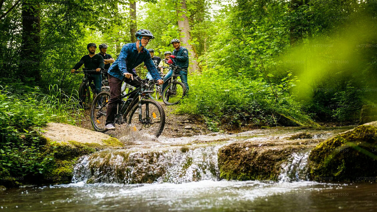 Mulkirigala Cycling Tour from Tangalle