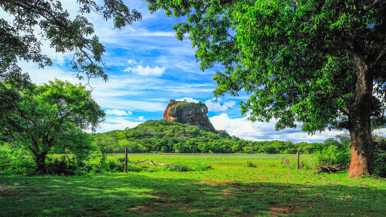 Mulkirigala Cycling Tour from Tangalle