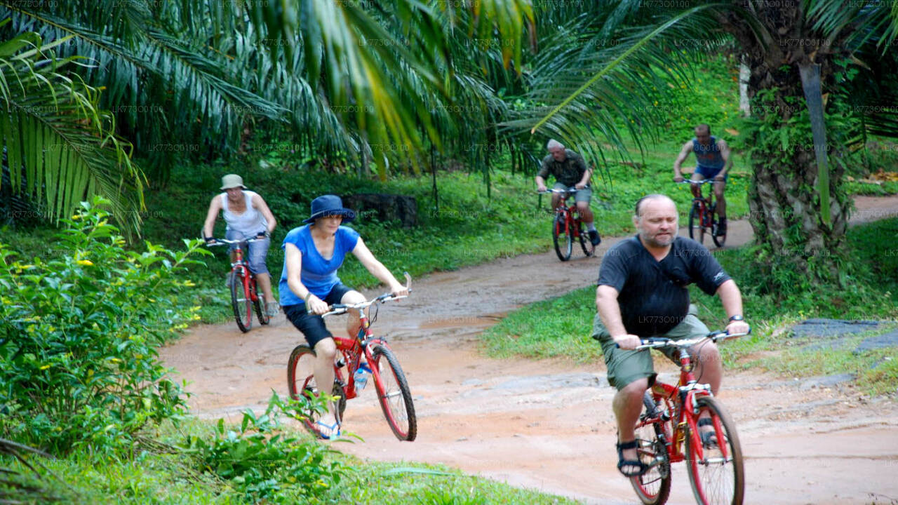 Padavigampola Village Cycling Tour from Pinnawala